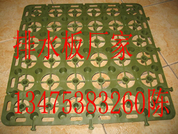 濟(jì)南排水板廠家解析 蓄排水板價格與建筑建材應(yīng)用